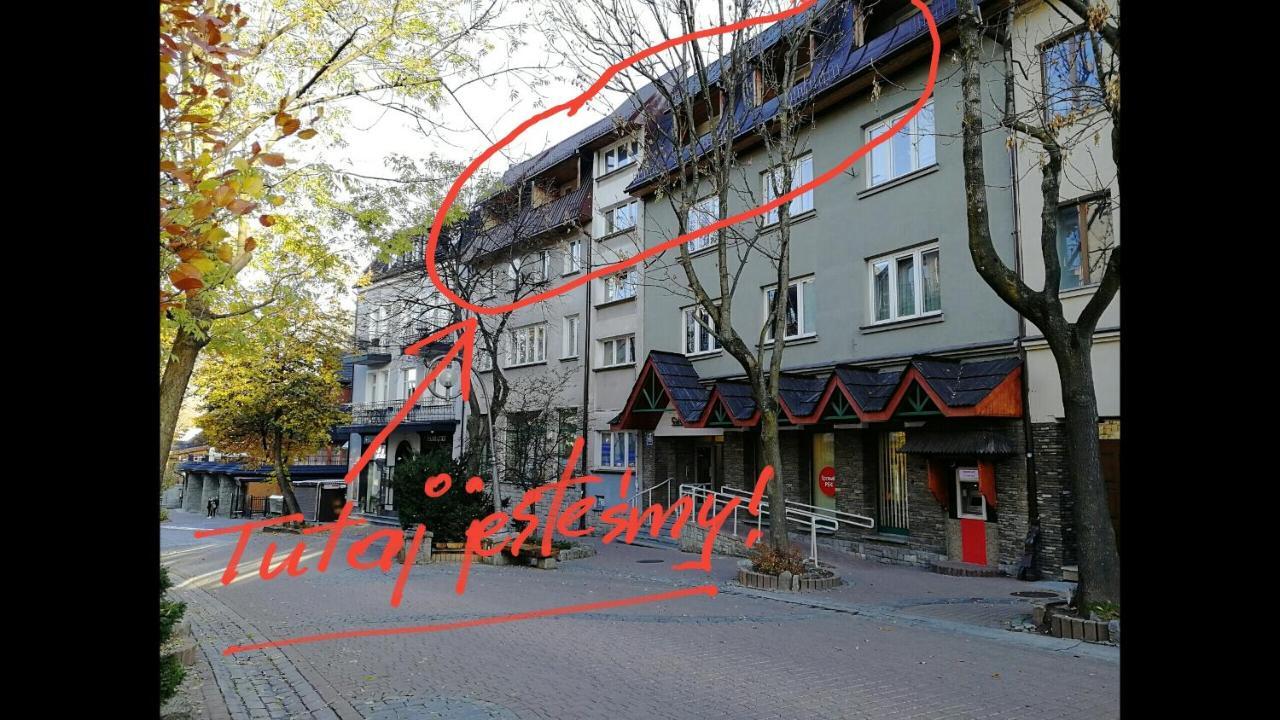 Pokoje Goscinne I Apartamenty Krupowki 19 Zakopane Extérieur photo